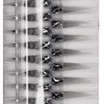 Two-Sided Nail Brush