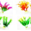 Variety of Small Aquarium Plant Designs