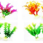 Variety of Small Aquarium Plant Designs