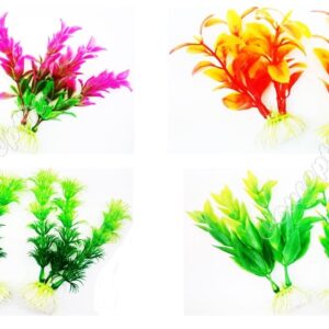 Variety of Small Aquarium Plant Designs