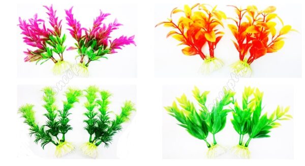 Variety of Small Aquarium Plant Designs