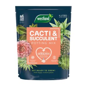 Westland 4L Peat-Free Potting Mix for Cacti & Succulents