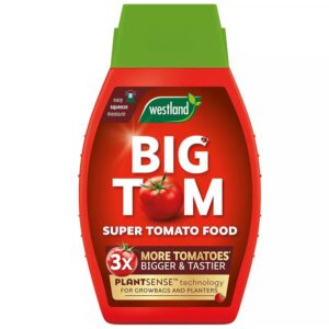 WESTLAND BIG TOM PREMIUM TOMATO FERTILIZER 1 LITRE