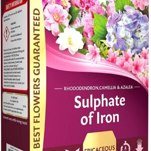 Westland Iron Sulphate Plant Food for Acid-Loving Plants 1.5kg