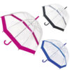 Women's Transparent Dome Umbrella with Colored Edging