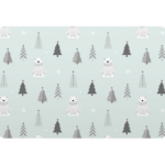 31cm x 44cm Plastic Table Mat