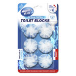 Toilet Block Blue
