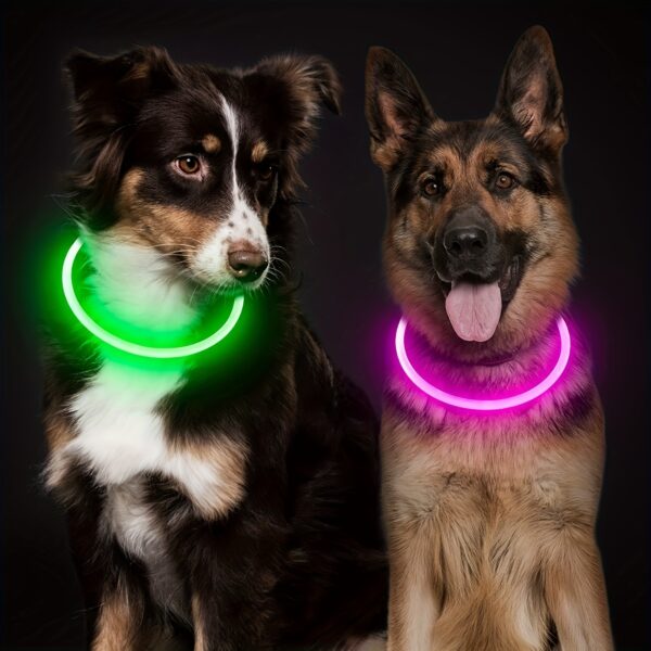 [USB Rechargeable LED Dog Collar] Pet Dog LED Light Collar Whole Luminous At Night Anti-loss USB Rechargeable Dog Collar - Image 6