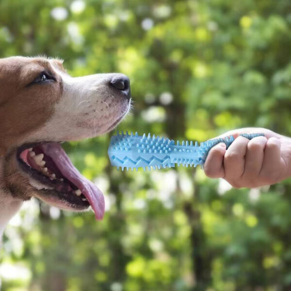 Durable Dog Chew Stick, Toothbrush For Tooth Cleaning And Massage - Soft Rubber Pet Toy - Image 20