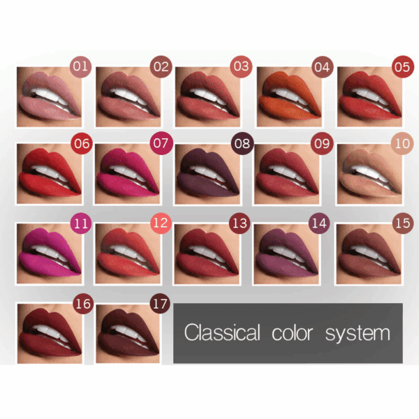 17 colors Long-Lasting Matte Liquid Lipstick Lip Gloss with Velvet Finish and Waterproof Formula Valentine's Day Gifts - Image 2