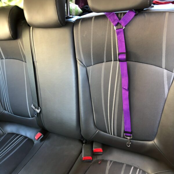 Secure Your Pet in the Car with This Adjustable Harness & Seat Belt Lead Leash! - Image 3