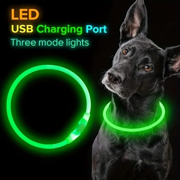 [USB Rechargeable LED Dog Collar] Pet Dog LED Light Collar Whole Luminous At Night Anti-loss USB Rechargeable Dog Collar - Image 2