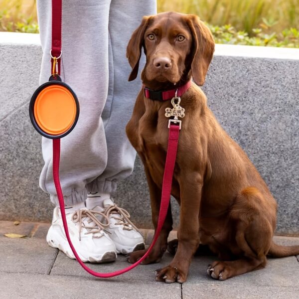 Portable Foldable Pet Bowl with Black Frame, 350ml TPR Dog Food Dish for Outdoors - Image 14