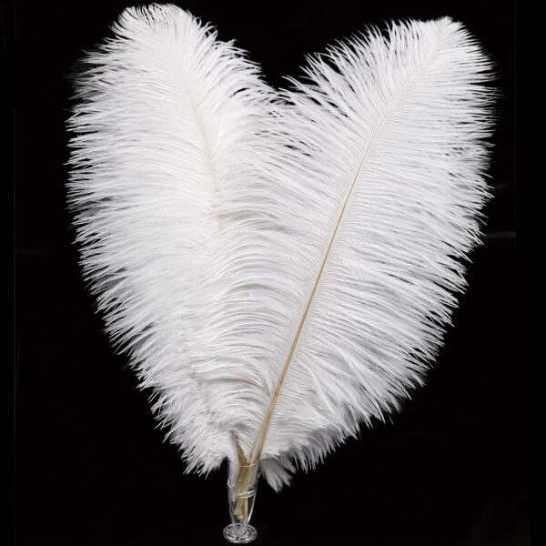 50pcs Luxury Craft White Faux Ostrich Feathers - 20.32-25.4 cm Premium Imitation Feathers for DIY Crafts, Home Decor, Party Centerpieces & Elegant Table Settings, Feathers for Crafts - Image 5