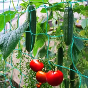 1pc Plant Climbing Net 70.8in*35.4in, Trellis Netting For Climbing Plants, Planting Supplies & Tools, High Quality Nylon Garden Loofah Morning Glory Flowers Vine Plants Climbing Net Cucumber Vine Grow Holder Trellis Netting