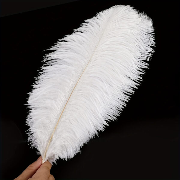 50pcs Luxury Craft White Faux Ostrich Feathers - 20.32-25.4 cm Premium Imitation Feathers for DIY Crafts, Home Decor, Party Centerpieces & Elegant Table Settings, Feathers for Crafts - Image 2