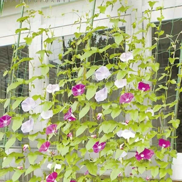 1pc Plant Climbing Net 70.8in*35.4in, Trellis Netting For Climbing Plants, Planting Supplies & Tools, High Quality Nylon Garden Loofah Morning Glory Flowers Vine Plants Climbing Net Cucumber Vine Grow Holder Trellis Netting - Image 13
