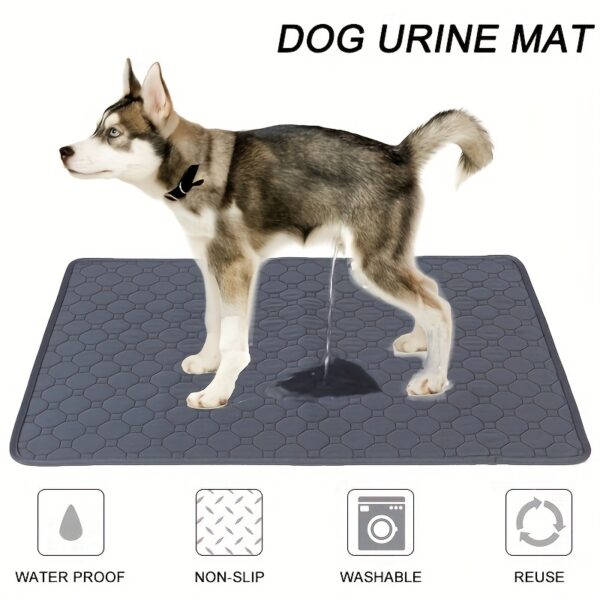 Washable & Reusable Pet Pee Pads - 4-Layer Training Mats for Dogs & Cats, Non-Slip, Easy to Clean - Ideal for Indoor & Outdoor Use - Image 8