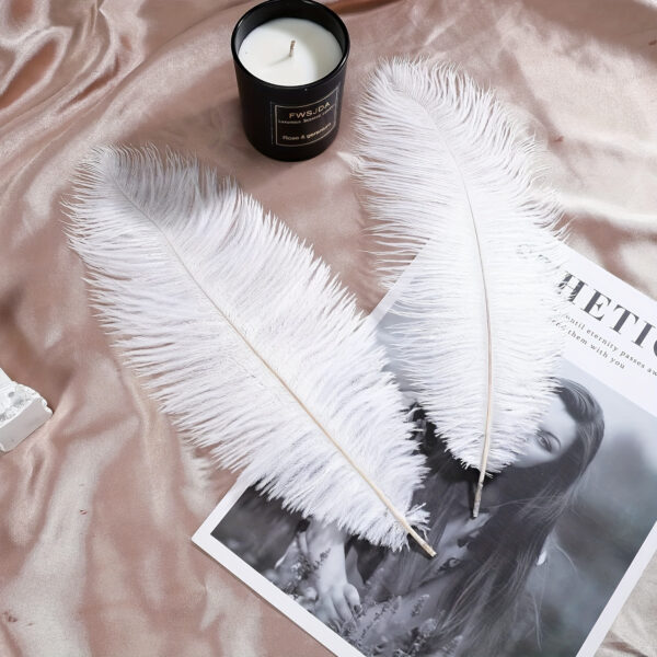 50pcs Luxury Craft White Faux Ostrich Feathers - 20.32-25.4 cm Premium Imitation Feathers for DIY Crafts, Home Decor, Party Centerpieces & Elegant Table Settings, Feathers for Crafts - Image 7