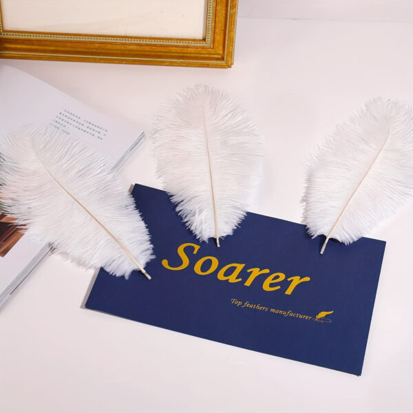 50pcs Luxury Craft White Faux Ostrich Feathers - 20.32-25.4 cm Premium Imitation Feathers for DIY Crafts, Home Decor, Party Centerpieces & Elegant Table Settings, Feathers for Crafts - Image 4