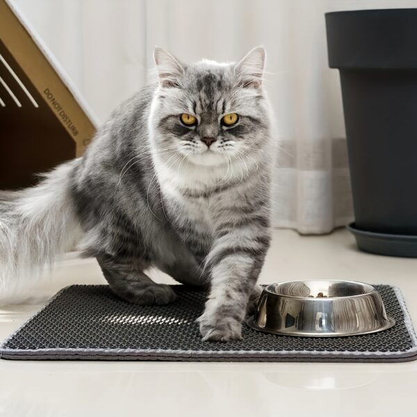 Honeycomb Double Layer Cat Litter Trapping Mat, Non-slip Washable Cat Cleaning Mat For Pet Toilet Kennel Litter Box - Image 17