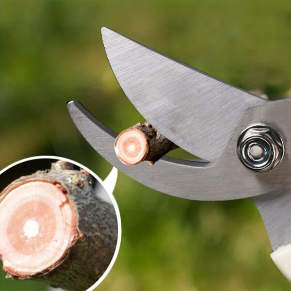 1pc/2pcs Garden Pruning Shears Set Sharp Blades For Cutting Flowers, Trimming Plants, Bonsai & Fruits Picking - Image 11