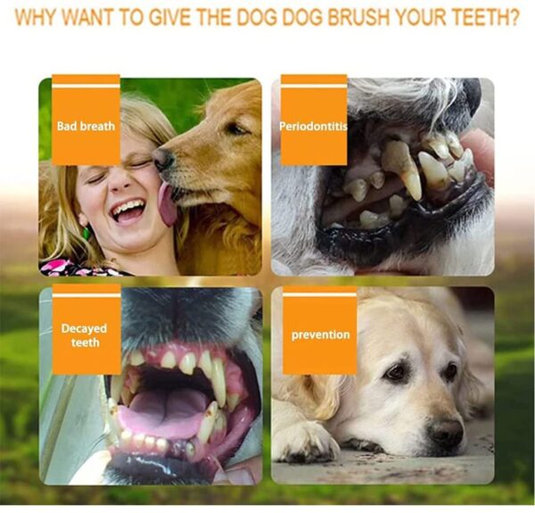 Super Soft Silicone Toothbrush - Perfect For Cleaning Your Dog Or Cat's Teeth! - Image 15
