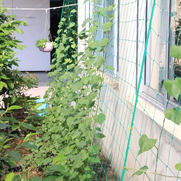 1pc Plant Climbing Net 70.8in*35.4in, Trellis Netting For Climbing Plants, Planting Supplies & Tools, High Quality Nylon Garden Loofah Morning Glory Flowers Vine Plants Climbing Net Cucumber Vine Grow Holder Trellis Netting - Image 2