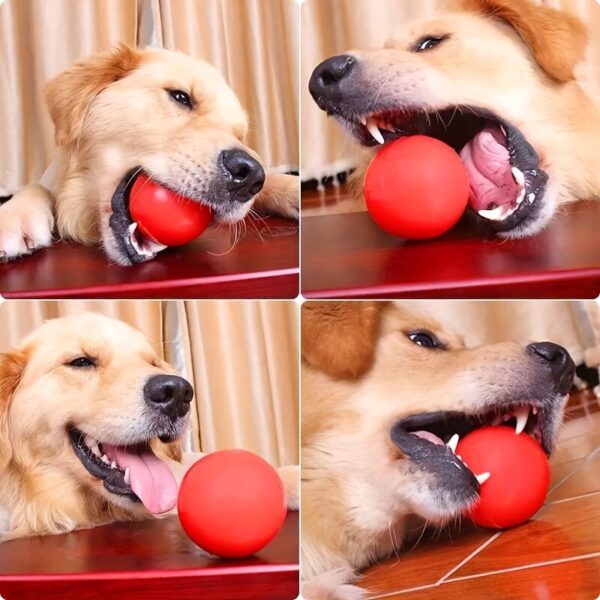 Indestructible Rubber Dog Chew Ball - Perfect For Cleaning Teeth & Keeping Your Dog Entertained! - Image 10