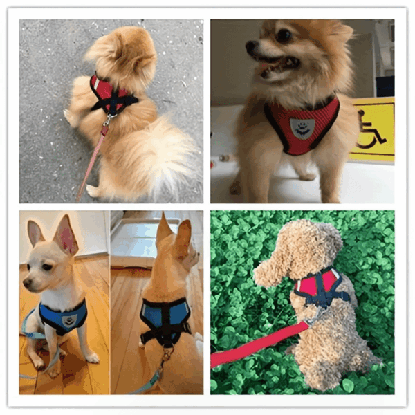 Reflective Pet Harness And Leash Set For Dogs And Cats, Adjustable Puppy Cat Vest Harness With Soft Mesh - Image 18
