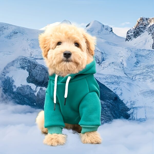 New Dog Hoodie, Pet Sweatshirt With Pocket In The Back, For Small Dogs - Image 5