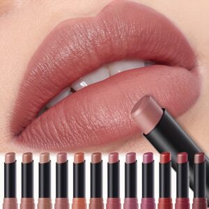 Luxurious Velvet Matte Lipstick - Moisturizing and Hydrating Formula, Easy to Apply, Natural Shine, Long-Lasting, and Nourishing Lip Care