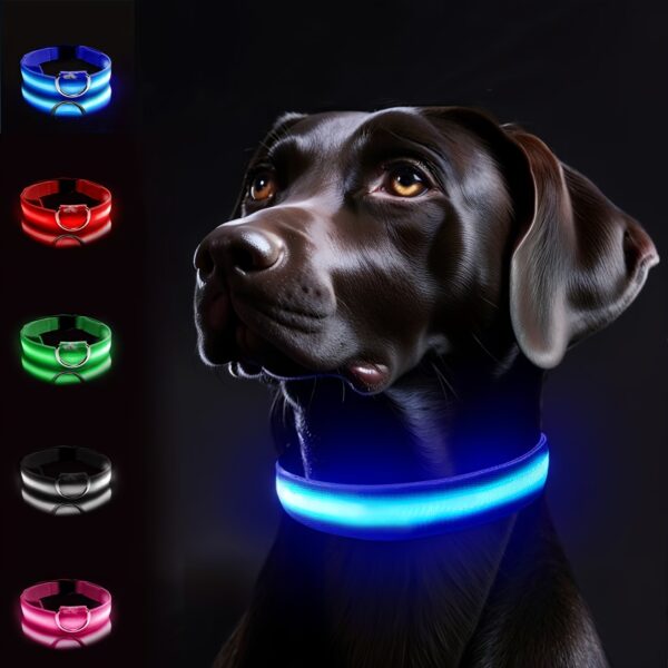 LED Glow-In-The-Dark Pet Collar for Small And Medium Dogs - Keep Your Pet Safe And Visible During Night Walks, Mild