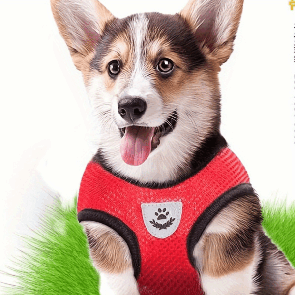 Reflective Pet Harness And Leash Set For Dogs And Cats, Adjustable Puppy Cat Vest Harness With Soft Mesh - Image 14