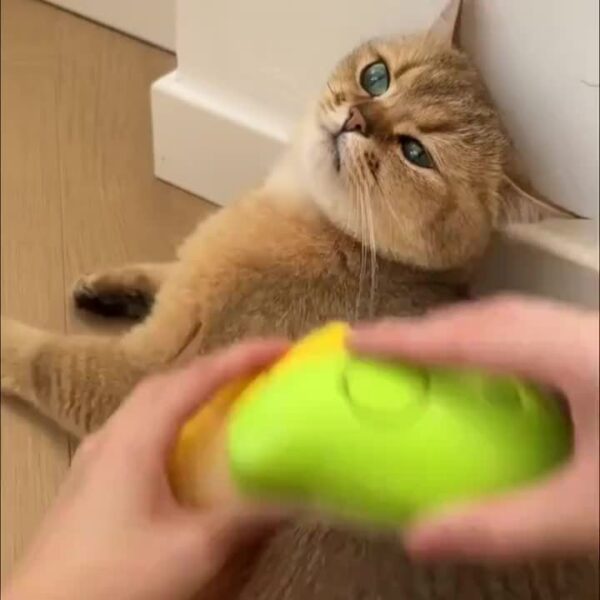 USB Rechargeable Self-Cleaning Electric Cat Grooming Brush - Steam Massage Comb for Cats & Dogs, Removes Tangles and Loose Fur - Image 10
