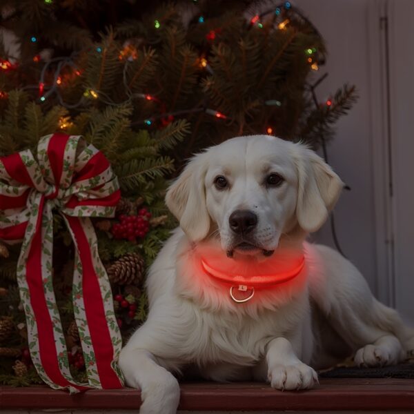 LED Glow-In-The-Dark Pet Collar for Small And Medium Dogs - Keep Your Pet Safe And Visible During Night Walks, Mild - Image 10