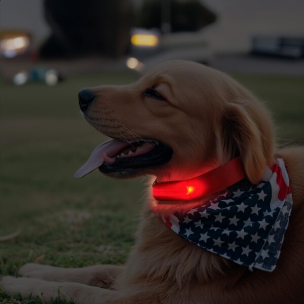 LED Glow-In-The-Dark Pet Collar for Small And Medium Dogs - Keep Your Pet Safe And Visible During Night Walks, Mild - Image 12