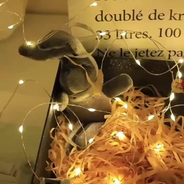 LED Small Lights, Christmas Bouquet Decoration Atmosphere Copper Wire Color Lights, Battery Box Strip Lights, Small White Box Strip Lights Star - Image 11