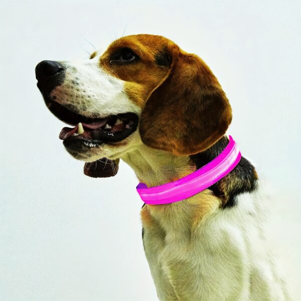 Glowing LED Pet Collar, Battery Powered, Polyester Reflective Dog Walking Necklace, Safe Voltage ≤36V, Nighttime Visibility Safety Accessory - Image 7