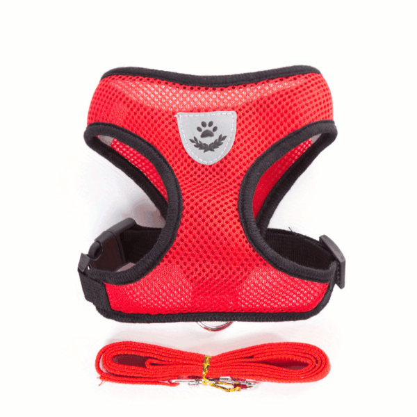 Reflective Pet Harness And Leash Set For Dogs And Cats, Adjustable Puppy Cat Vest Harness With Soft Mesh - Image 9