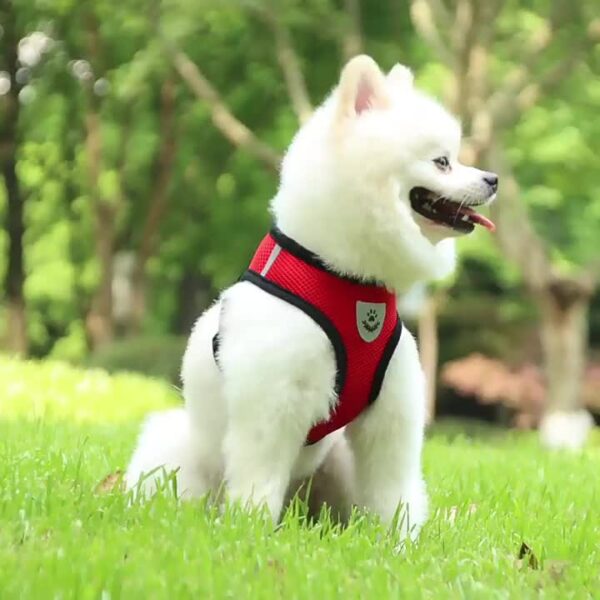 Reflective Pet Harness And Leash Set For Dogs And Cats, Adjustable Puppy Cat Vest Harness With Soft Mesh - Image 19