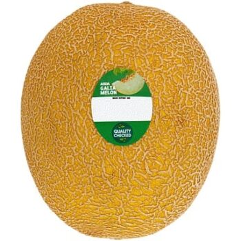 ASDA Galia Melon