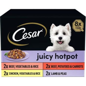 Cesar Juicy Hotpot Adult Wet Dog Food Trays Mixed in Gravy (8 x 150g)
