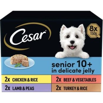 Cesar Senior Wet Dog Food Trays Meat in Delicate Jelly 10+ In Delicate Jelly (8 x 150g)