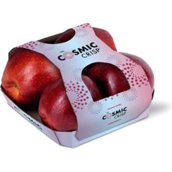 Cosmic Crisp Apples Apples Cosmic