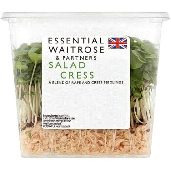 Essential Salad Cress Each
