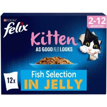 Felix As Good As it Looks Kitten Fish in Jelly Wet Cat Food (12 x 85g)
