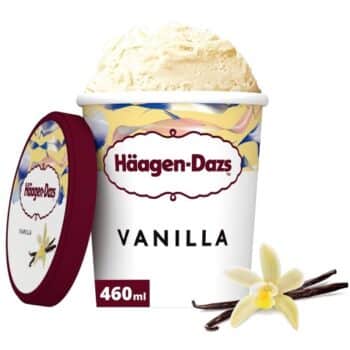 Haagen-Dazs Vanilla Ice Cream (460ml)