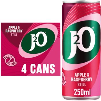 J2O Apple & Raspberry Juice Drink (4 x 250ml)