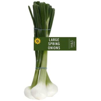 M&S Jumbo Salad Onions